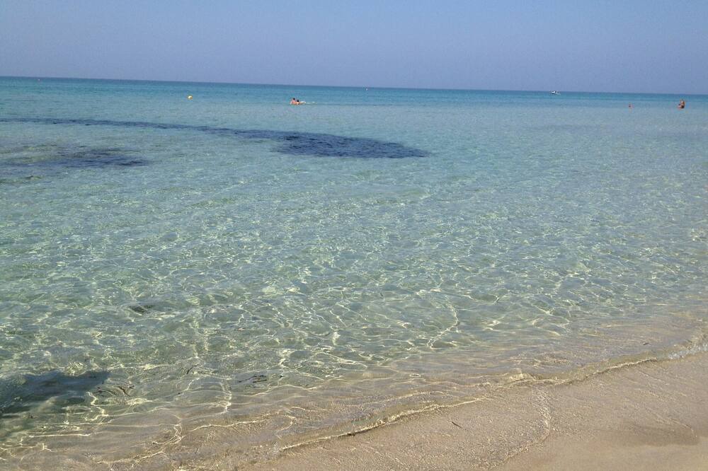 Photo of Others in Marsala