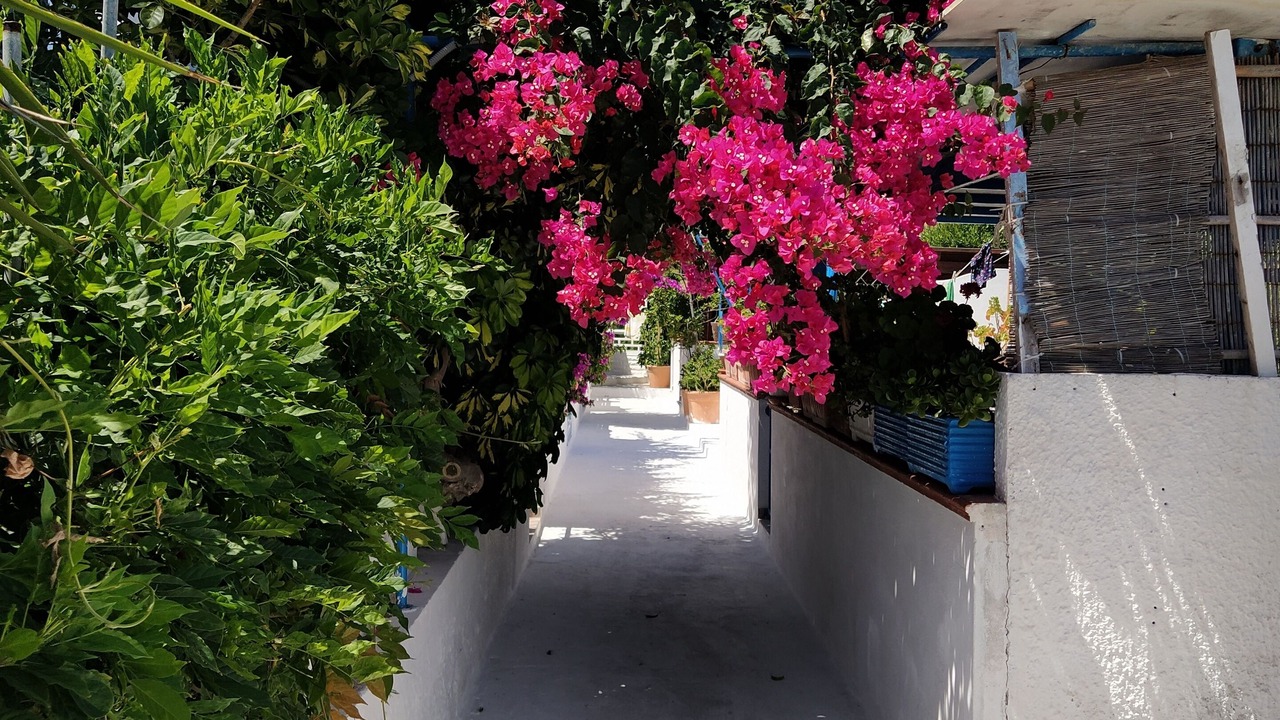 Photo of Outdoor in Le Forna