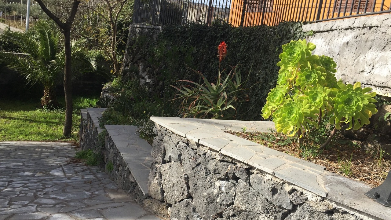 Photo of Outdoor in Coste