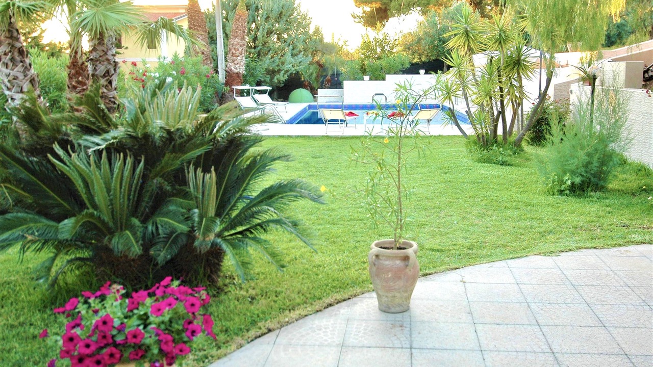 Photo of Outdoor in Trappeto