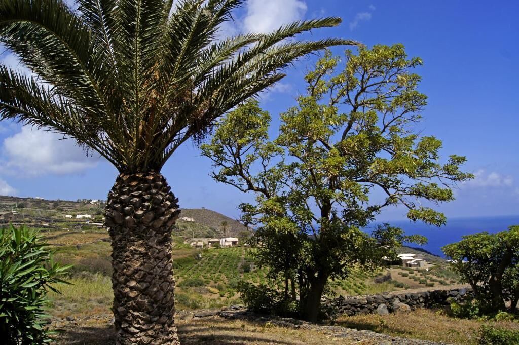 Photo of Outdoor in Kamma