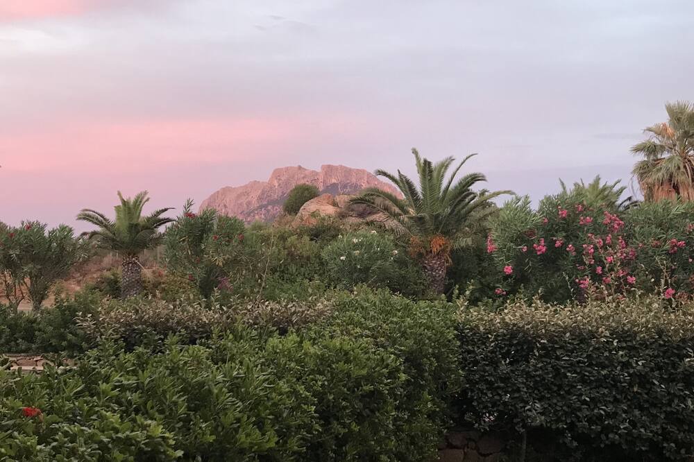 Photo of Outdoor in Porto San Paolo