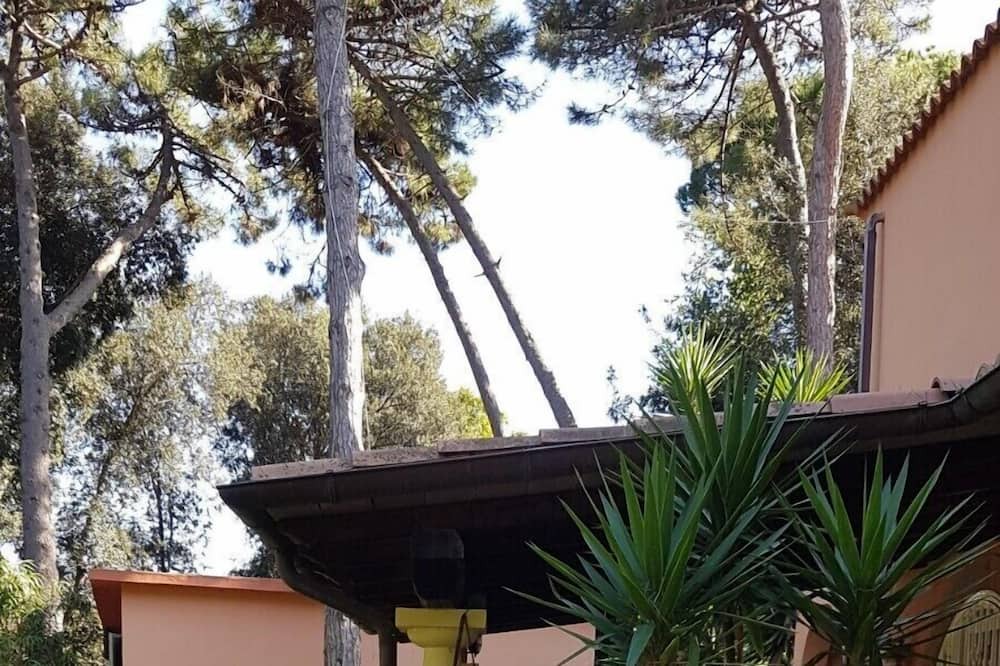Photo of Outdoor in Sabaudia