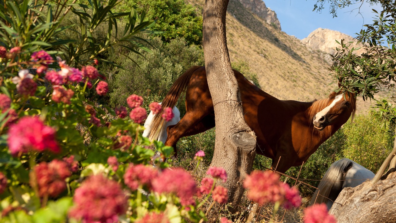 Photo of Outdoor in Macari