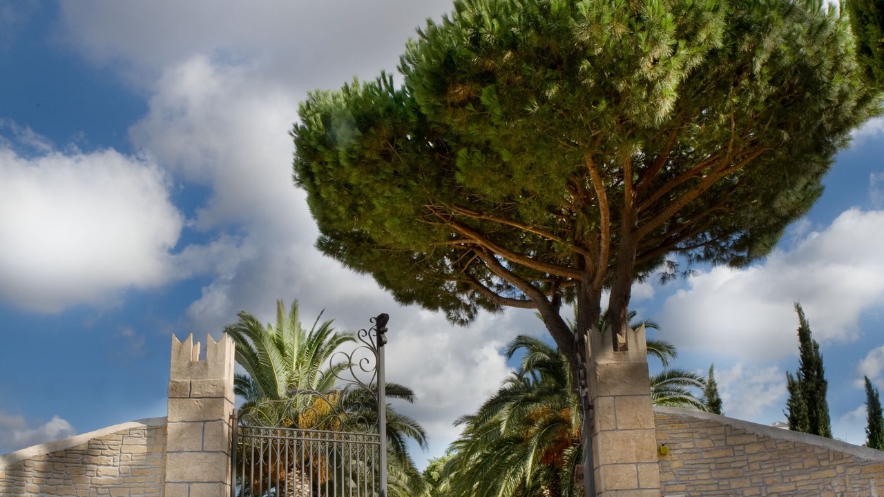Photo of Outdoor in Partinico