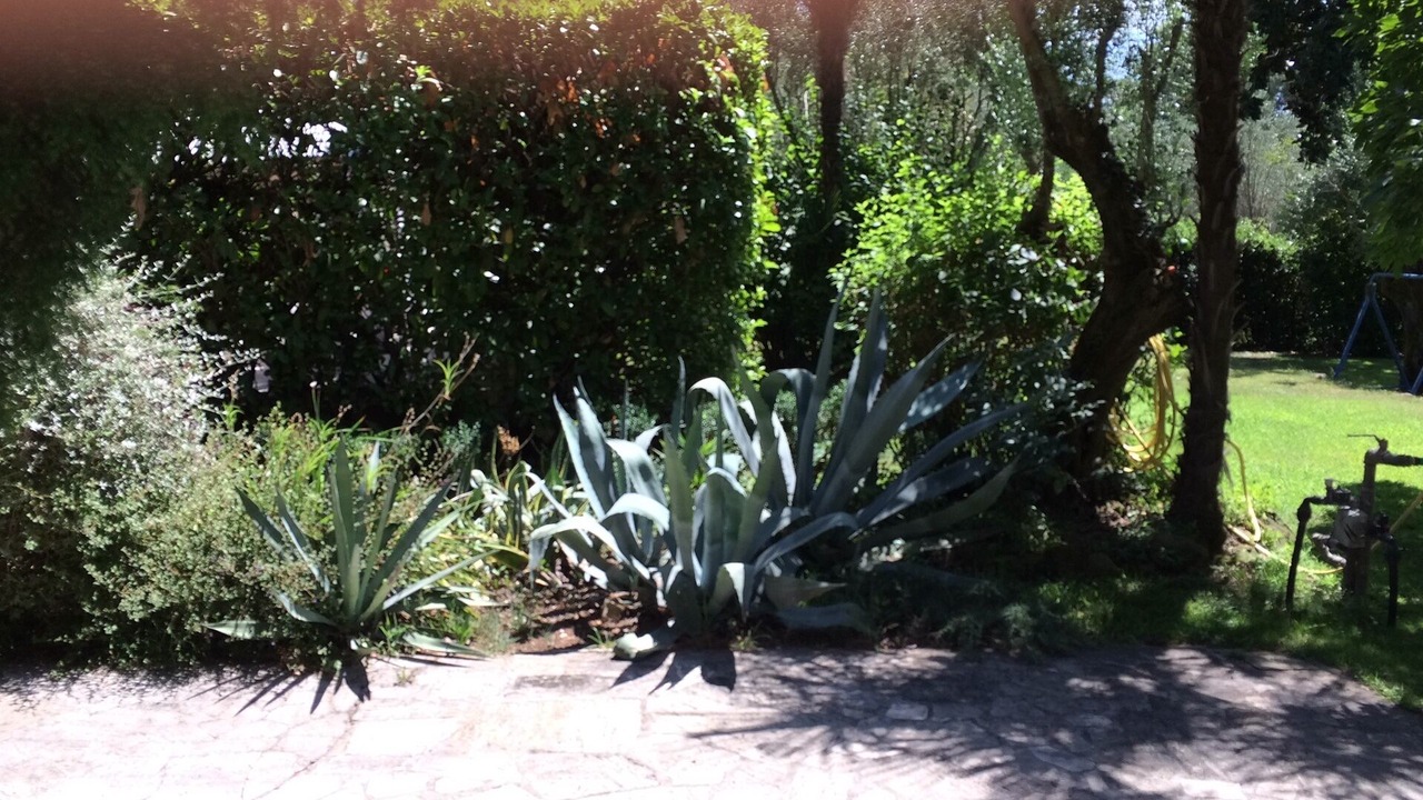Photo of Outdoor in Ariccia