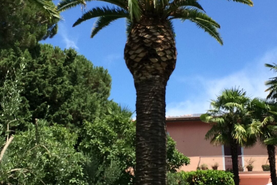 Photo of Outdoor in Ariccia
