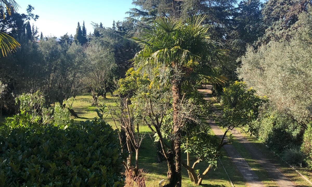 Photo of Outdoor in Ariccia