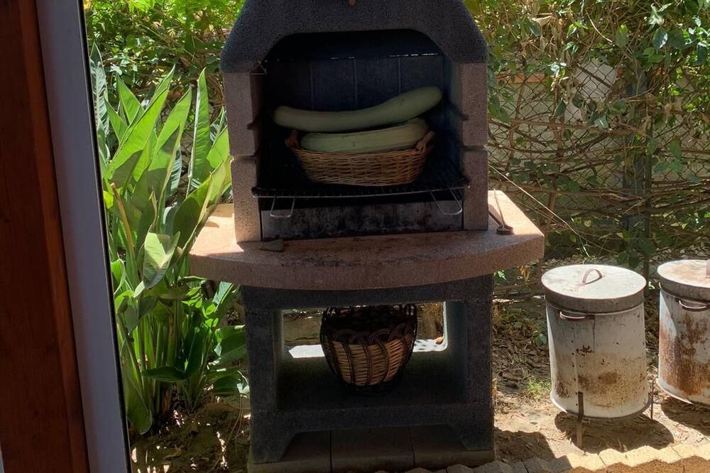 Photo of Outdoor in Patti