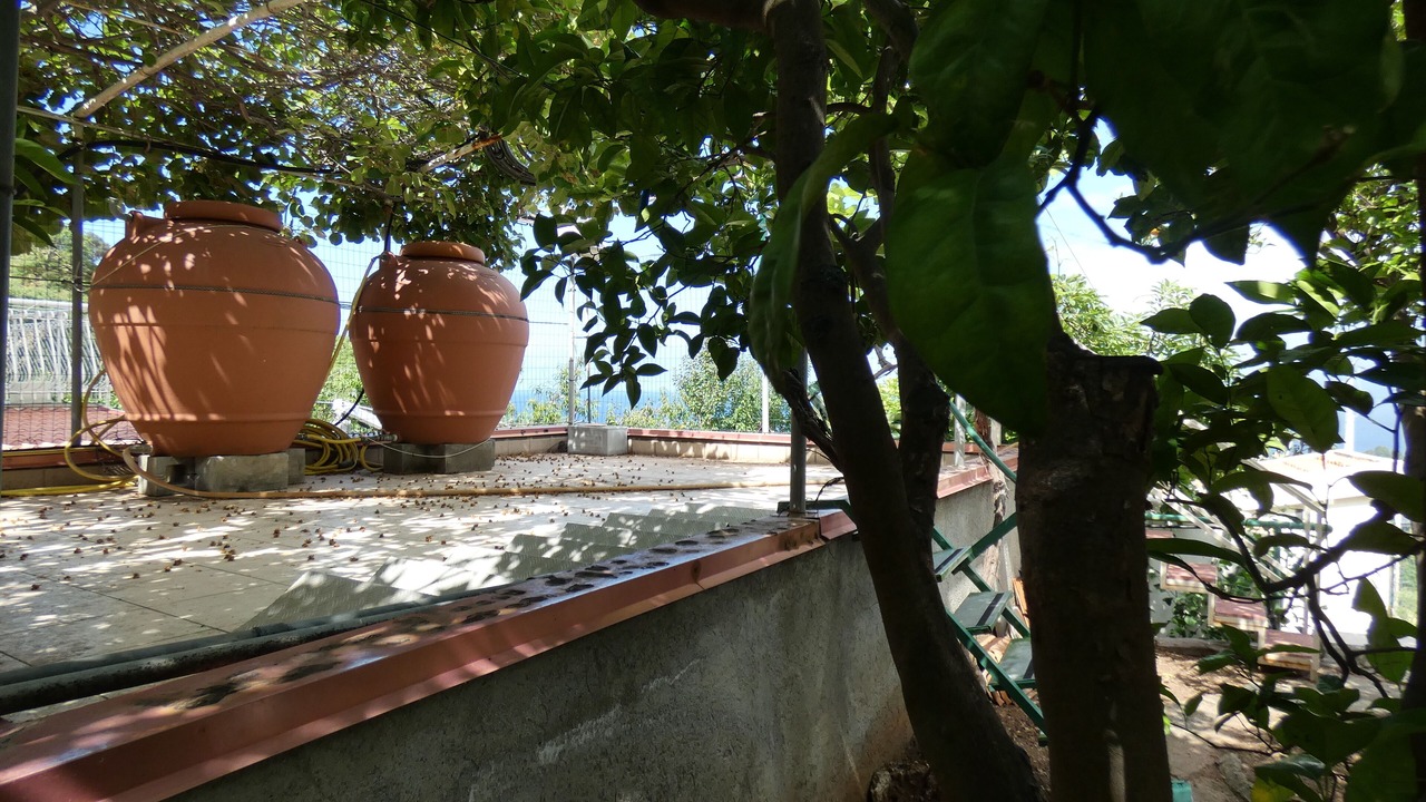 Photo of Outdoor in Gioiosa Marea