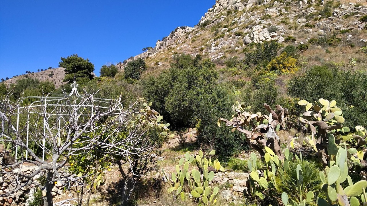 Photo of Outdoor in Porticello