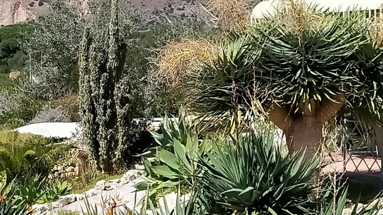 Photo of Outdoor in Porticello