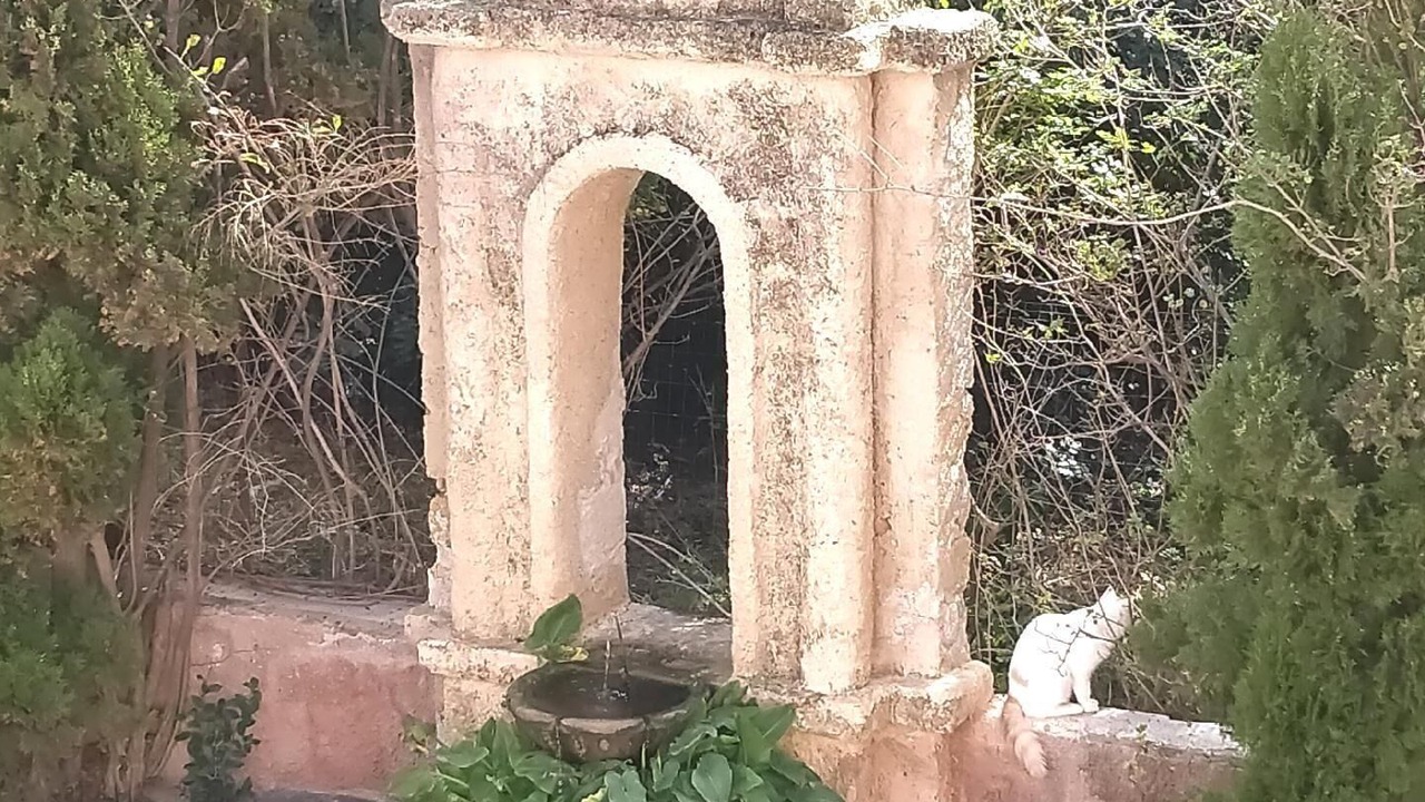 Photo of Outdoor in Porticello