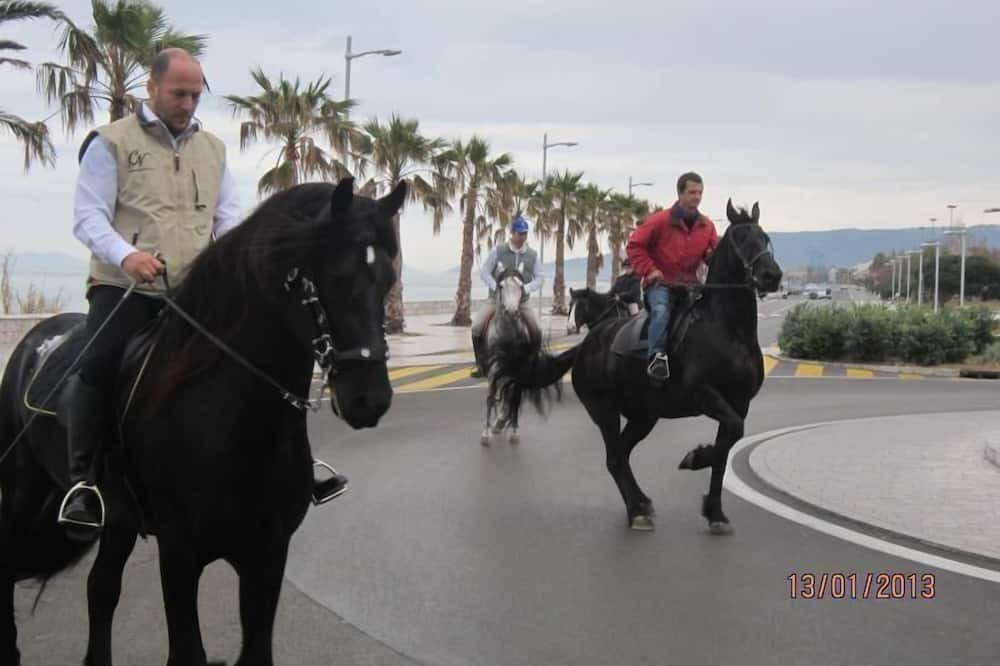 Photo of Outdoor in Iria