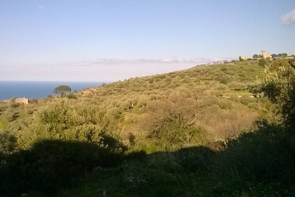 Photo of Others in Termini Imerese