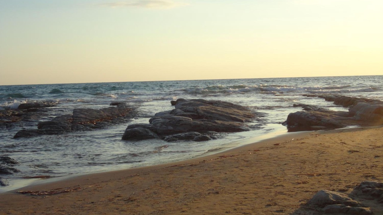 Photo of Others in Lido Rossello