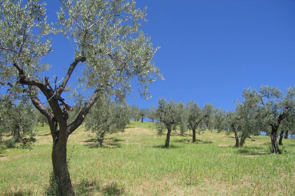 Photo of Outdoor in Orvinio