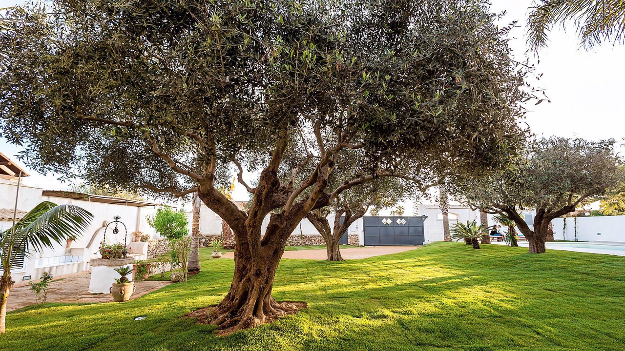 Photo of Outdoor in Marsala