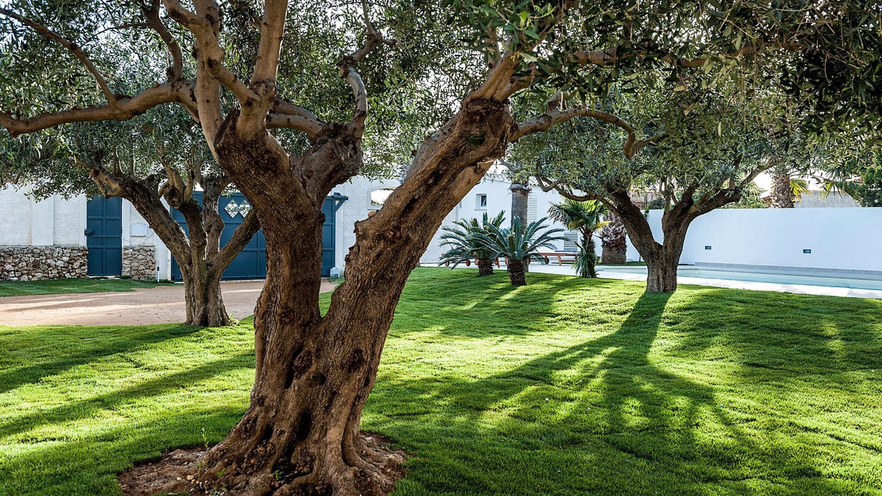 Photo of Outdoor in Marsala