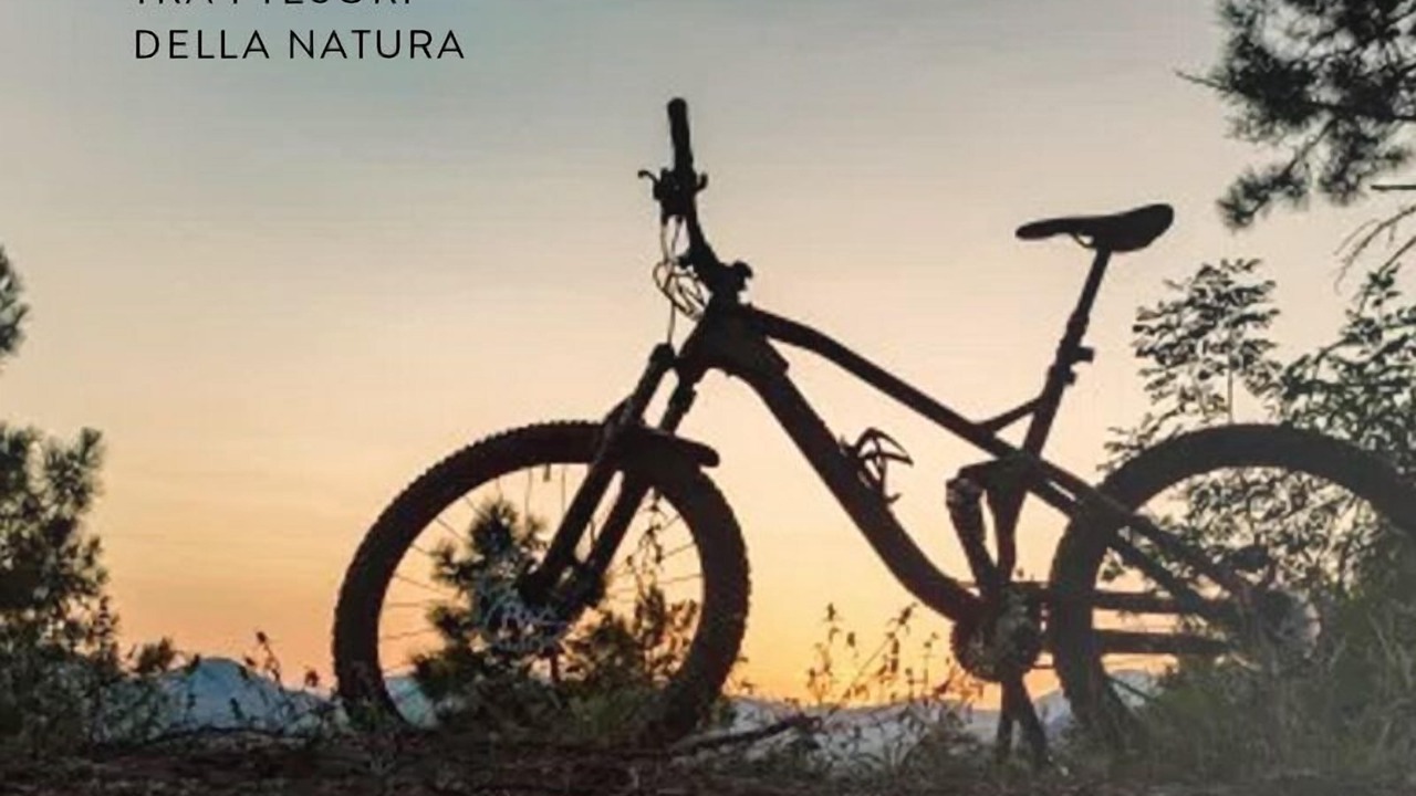Photo of Outdoor in Sabaudia
