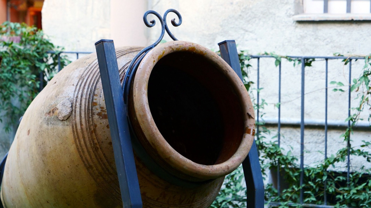 Photo of Outdoor in Patti