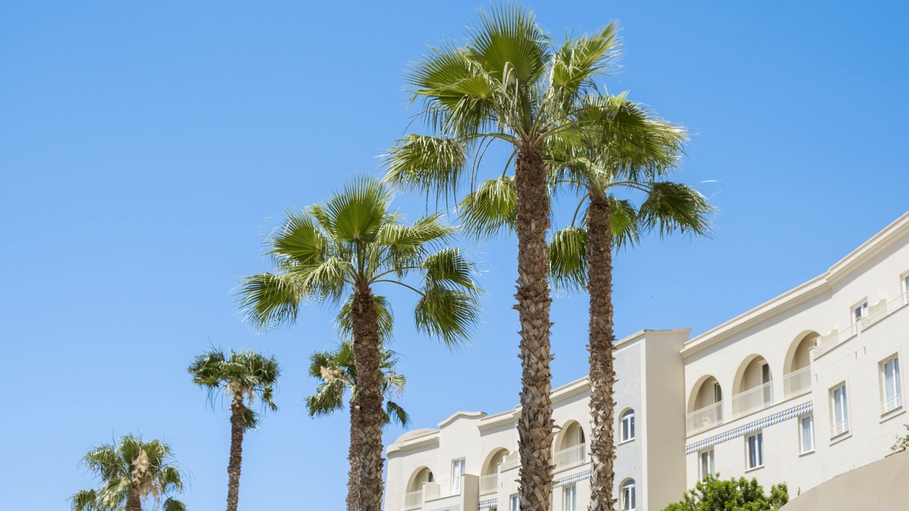 Photo of Outdoor in Marinella di Selinunte