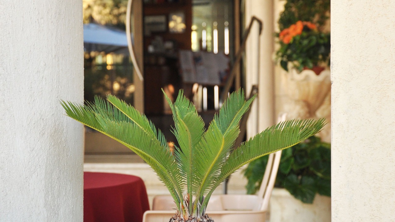 Photo of Outdoor in Fiuggi
