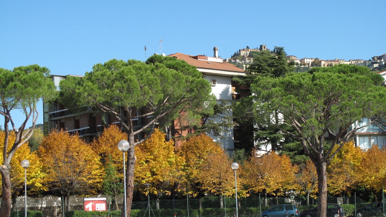 Photo of Outdoor in Margine Coperta-Traversagna