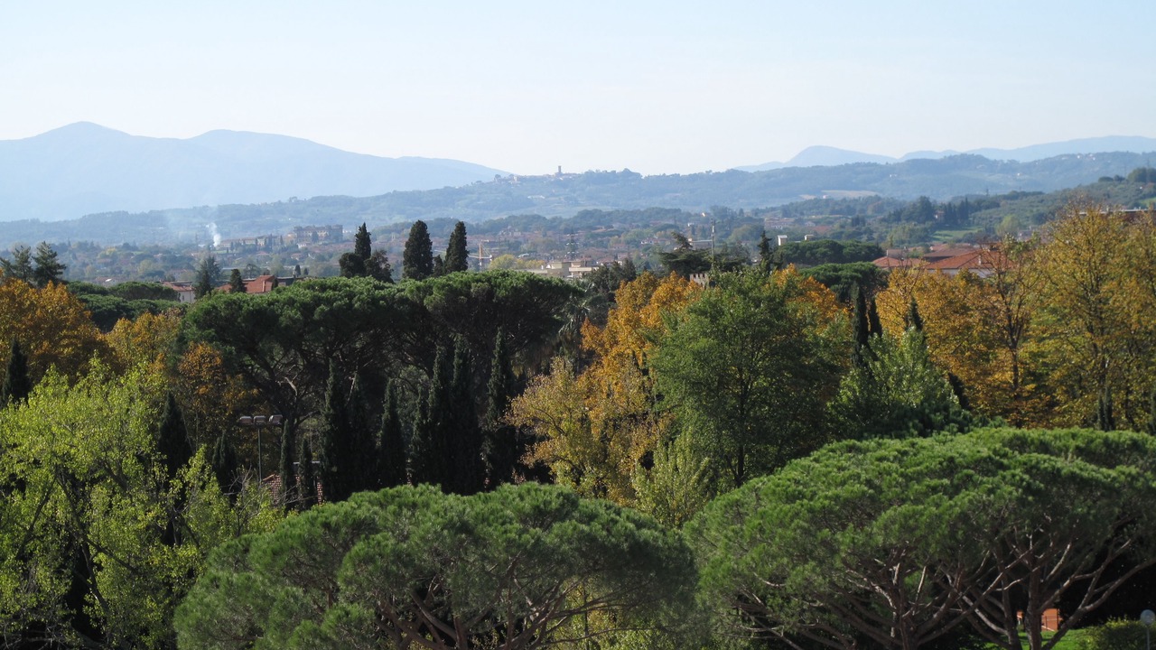 Photo of Outdoor in Margine Coperta-Traversagna