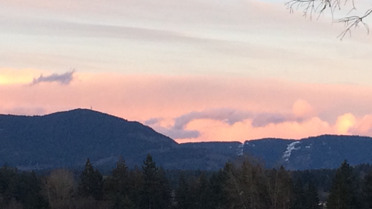 Photo of Outdoor in Duncan