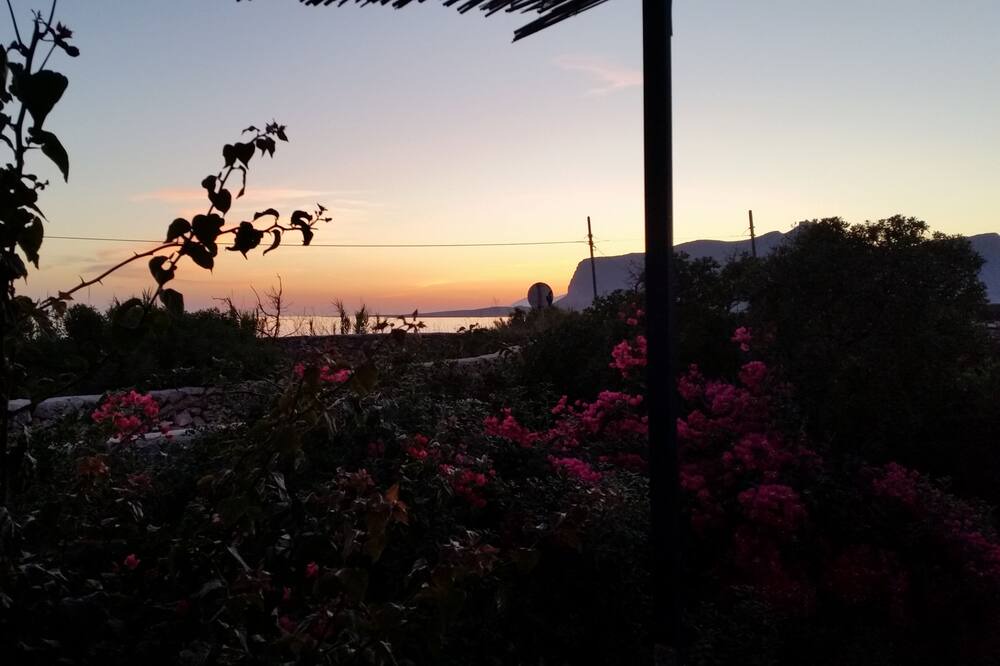 Photo of Others in Favignana