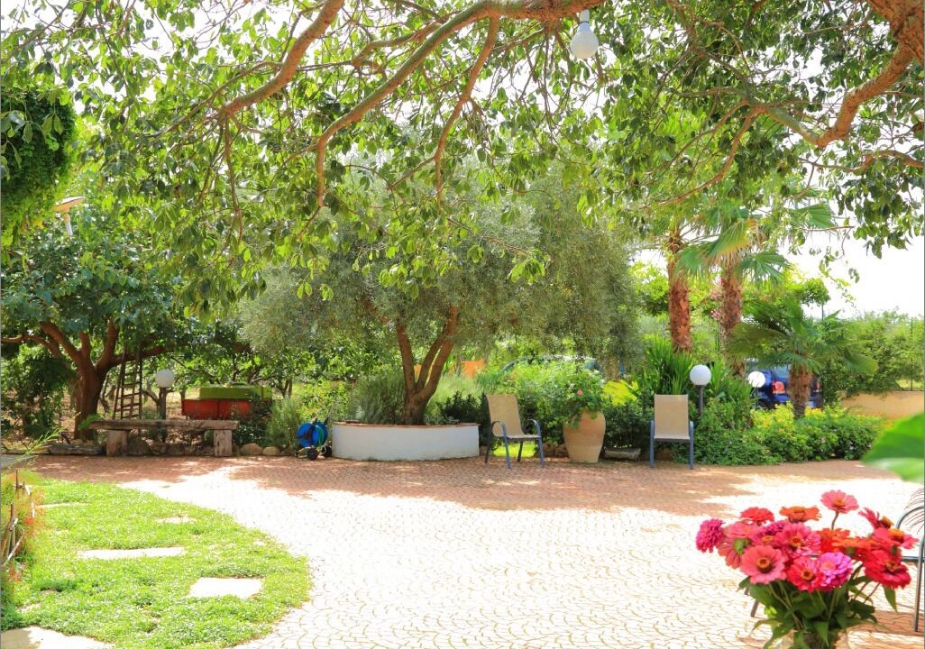 Photo of Outdoor in Ribera