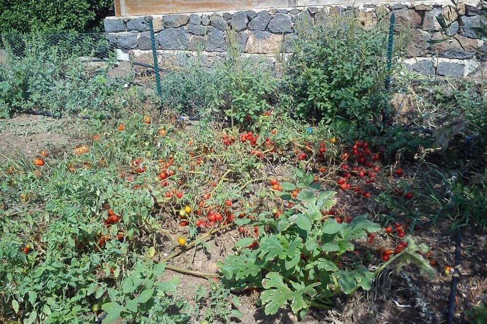 Photo of Outdoor in Ustica