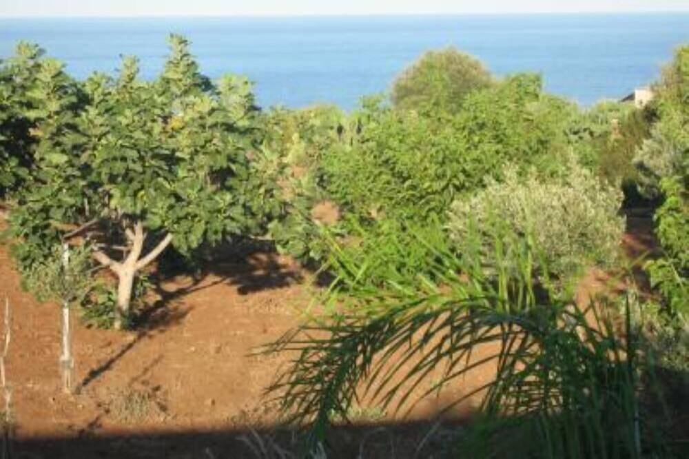 Photo of Others in Ustica