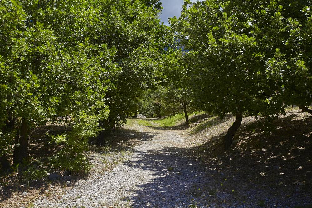 Photo of Outdoor in Polizzi Generosa