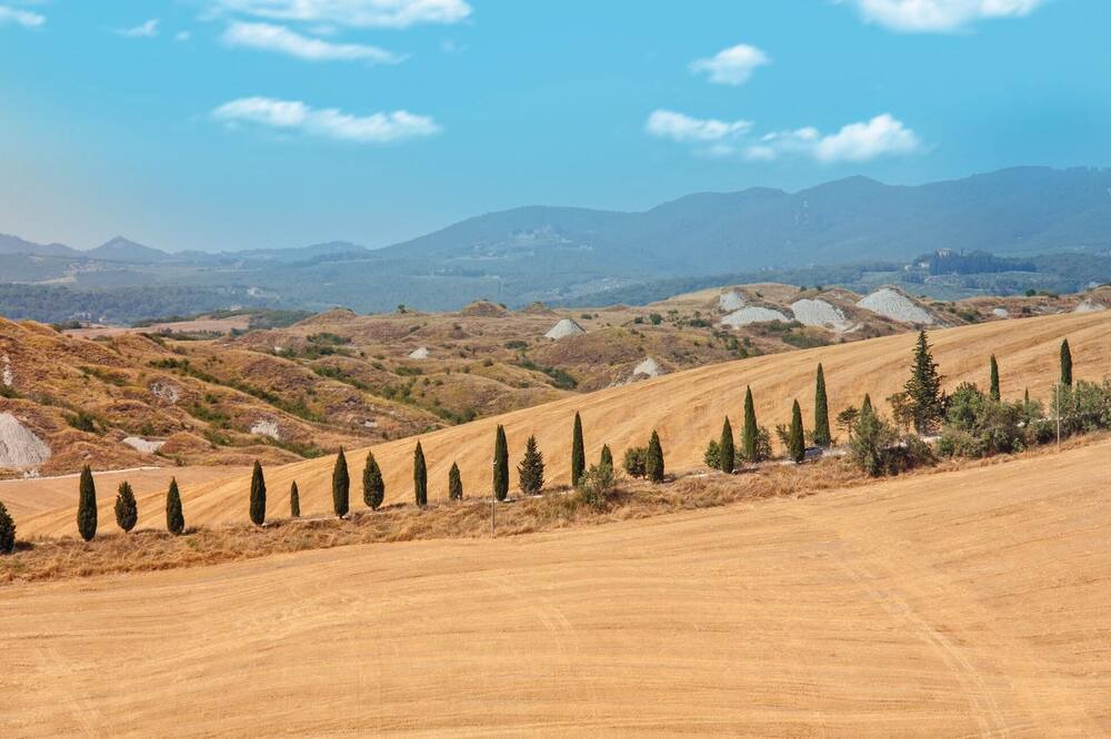 Photo of Others in Monteroni d'Arbia