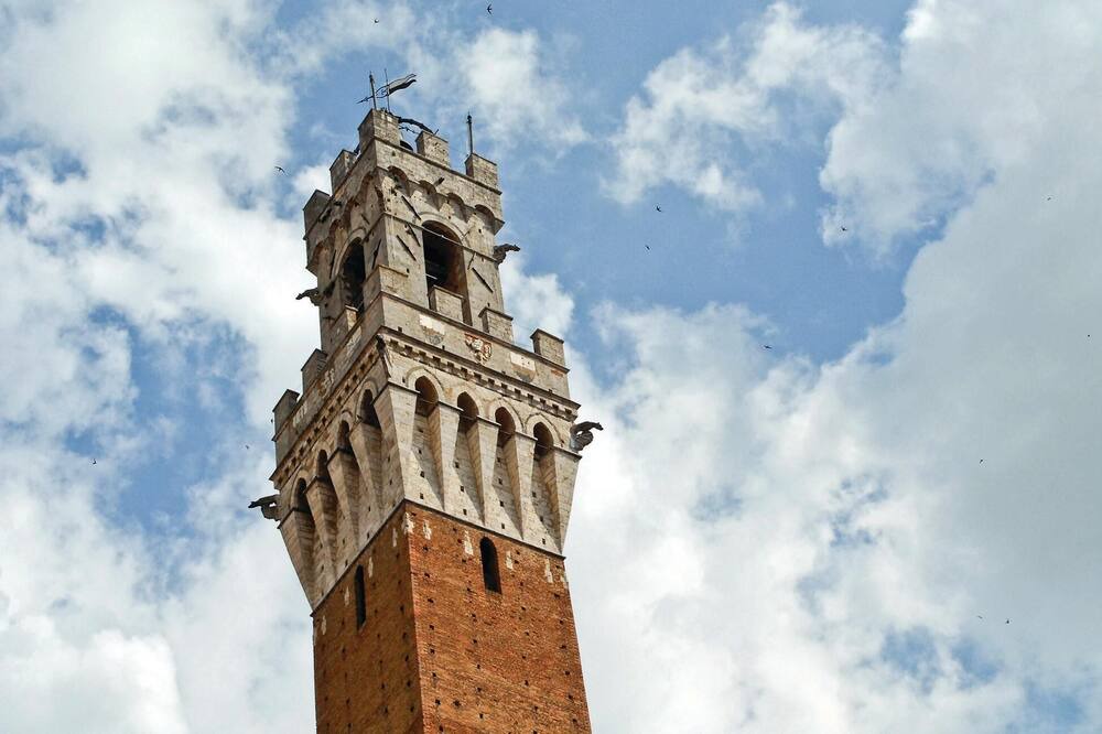 Photo of Others in Monteroni d'Arbia