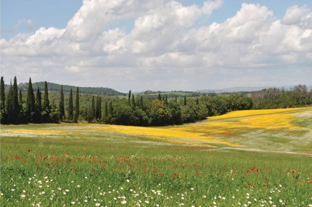 Photo of Others in Monteroni d'Arbia