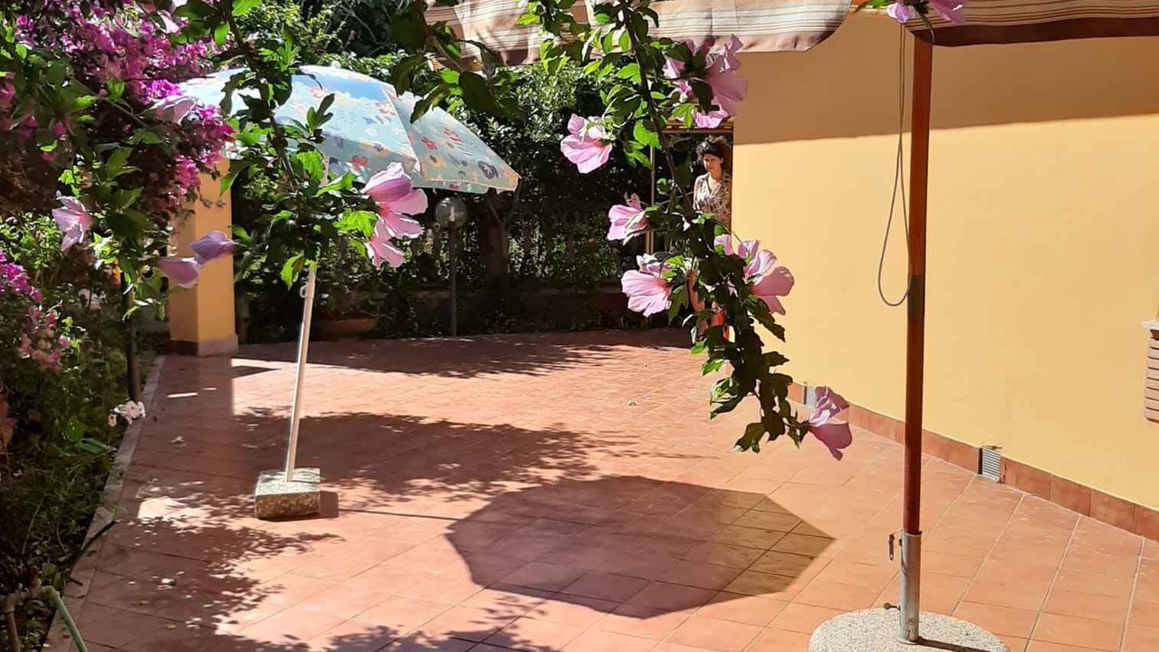 Photo of Outdoor in Ardea