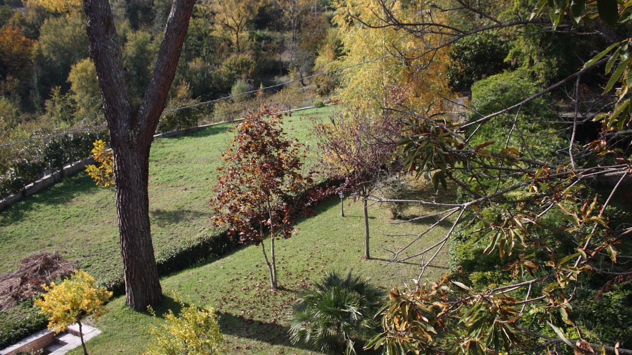 Photo of Outdoor in Anticoli Corrado