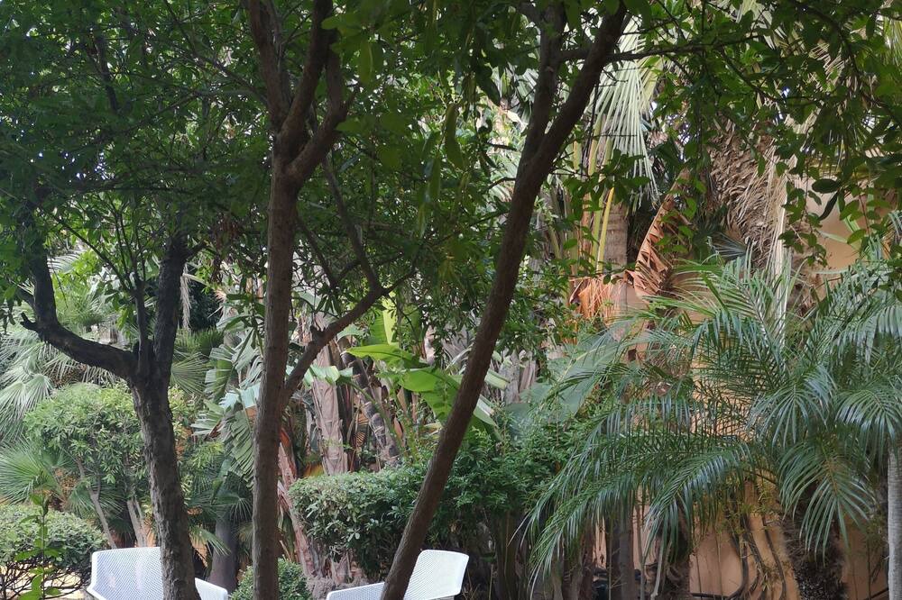Photo of Outdoor in Favara