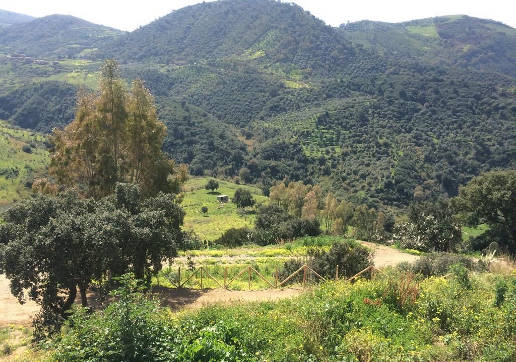 Photo of Outdoor in Patti
