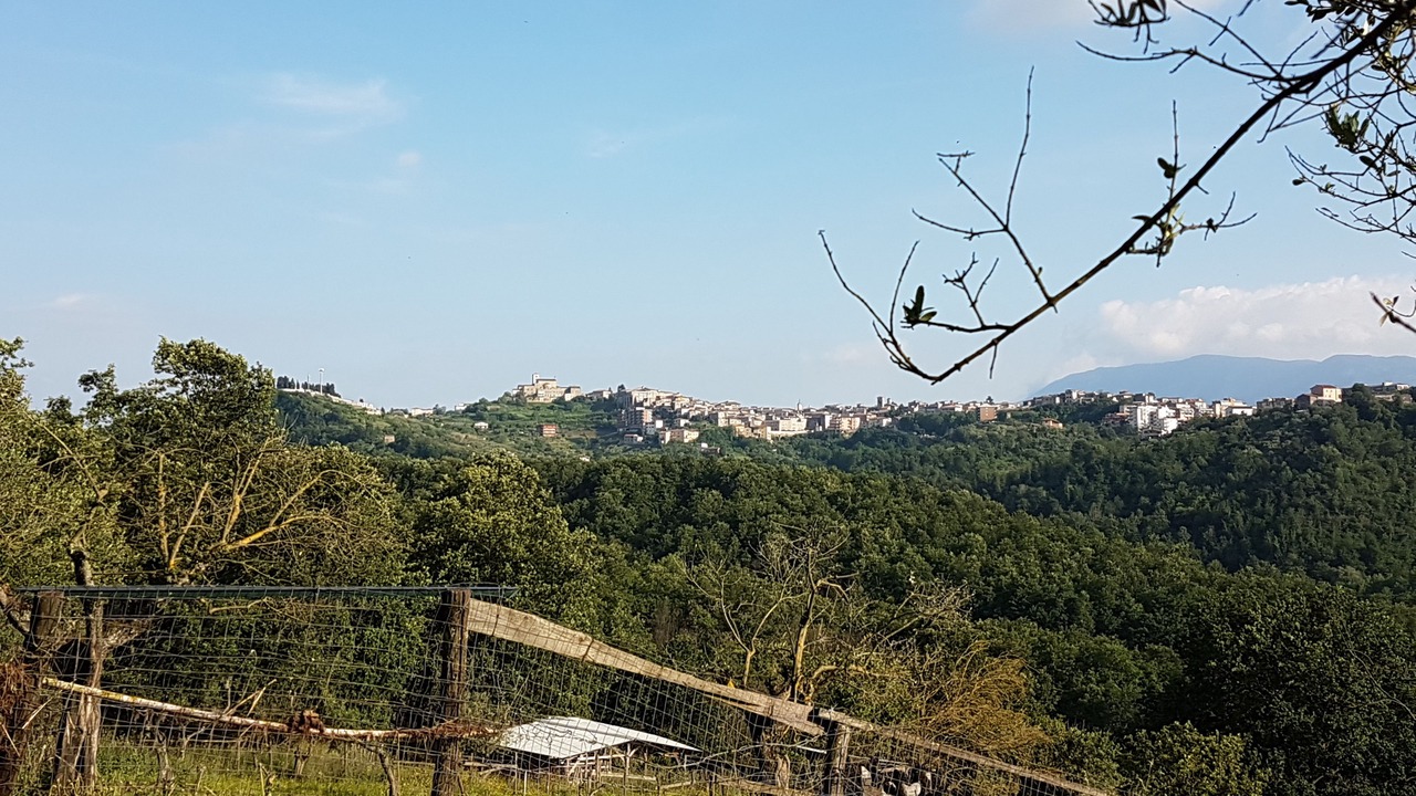 Photo of Others in Anagni