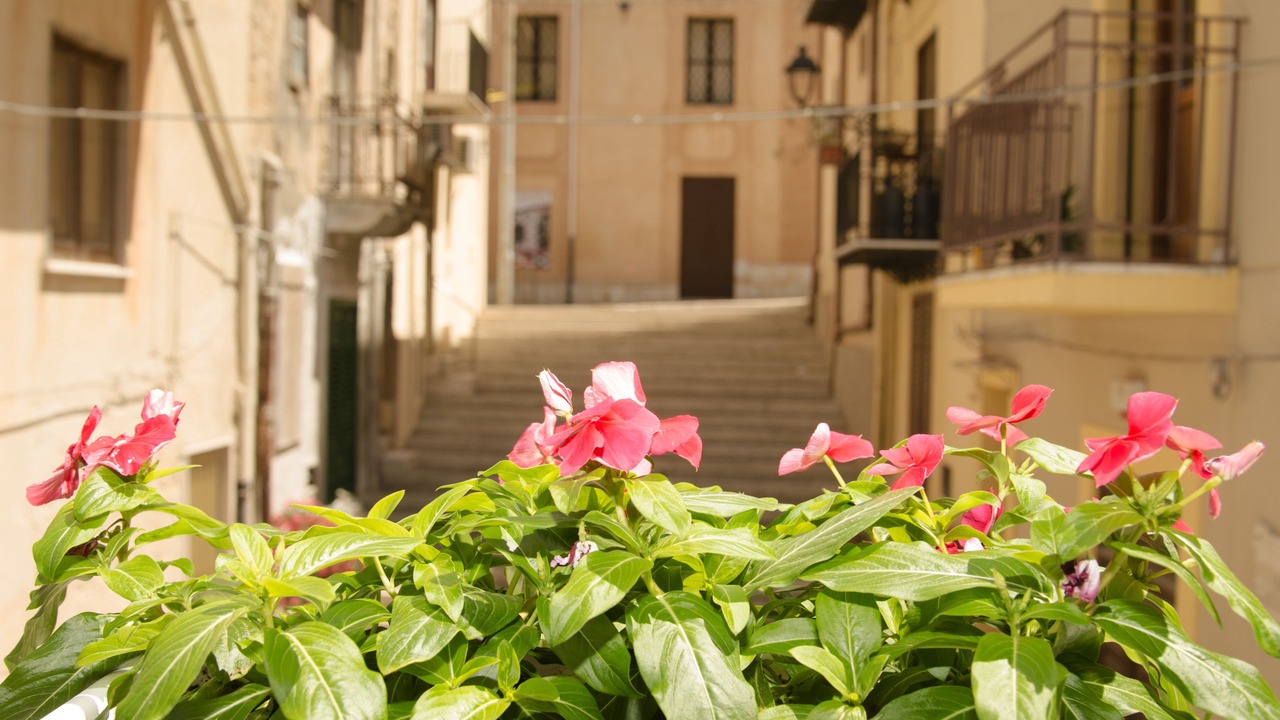 Photo of Others in Castellammare del Golfo