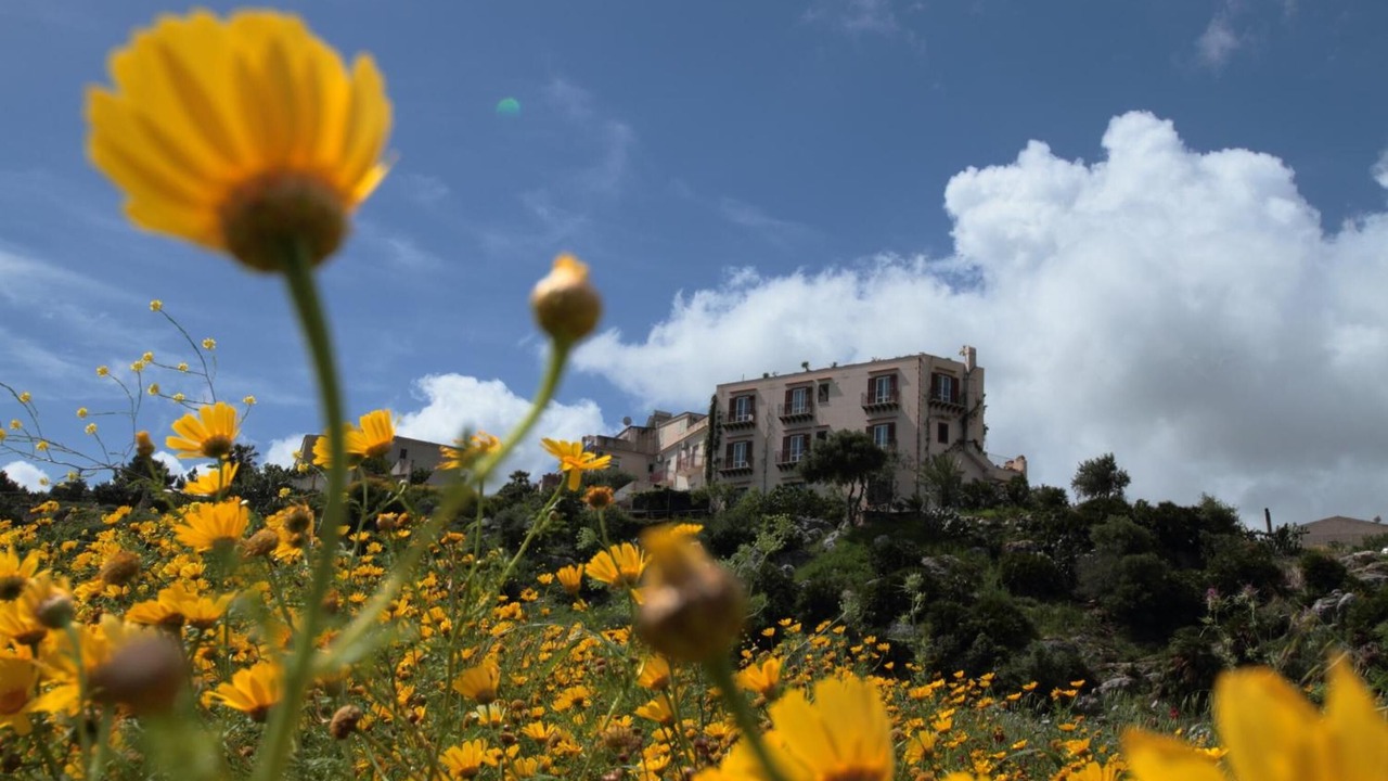 Photo of Outdoor in Scopello