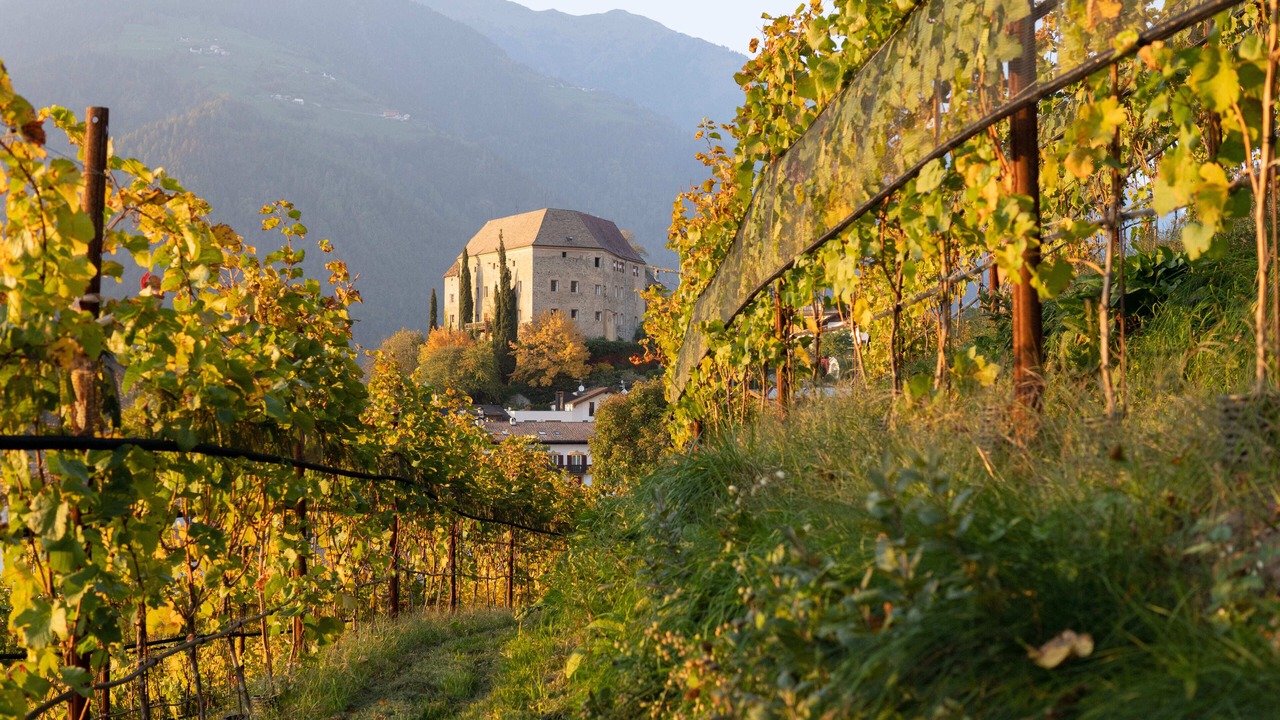 Photo of Outdoor in Schenna