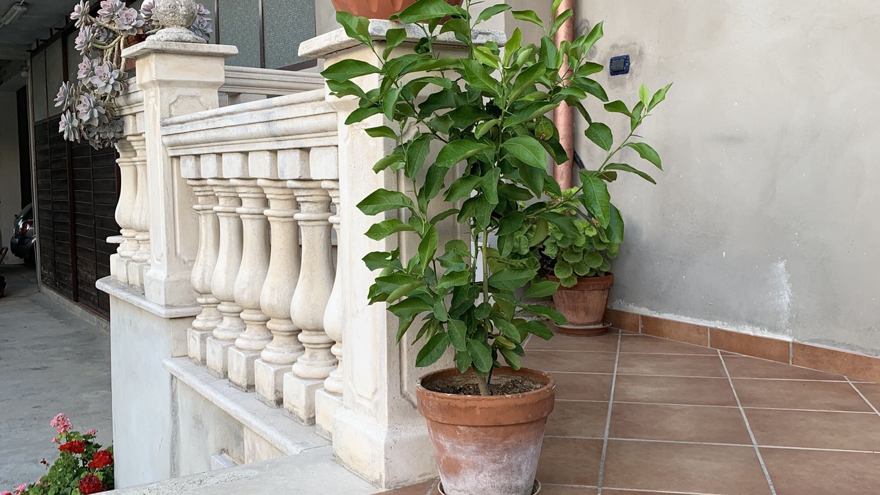 Photo of Outdoor in Anagni