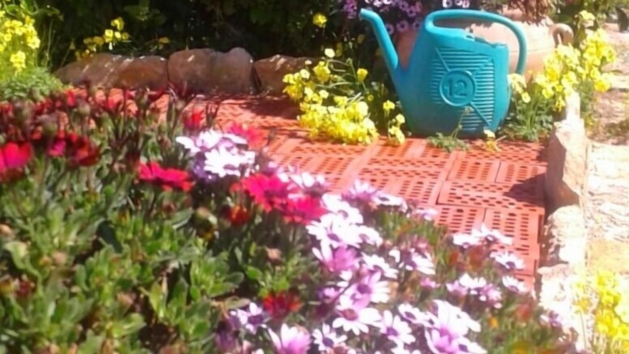 Photo of Outdoor in Borgo Bonsignore
