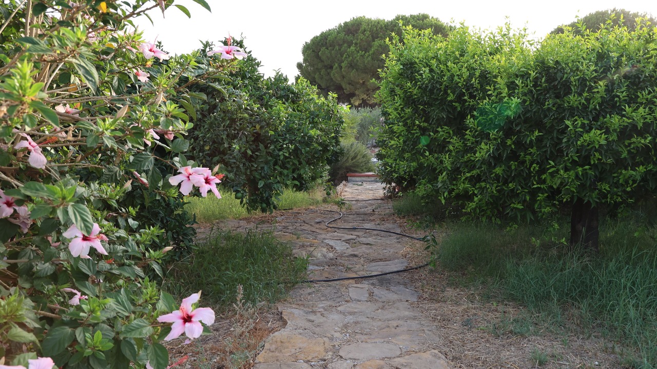 Photo of Outdoor in Borgo Bonsignore