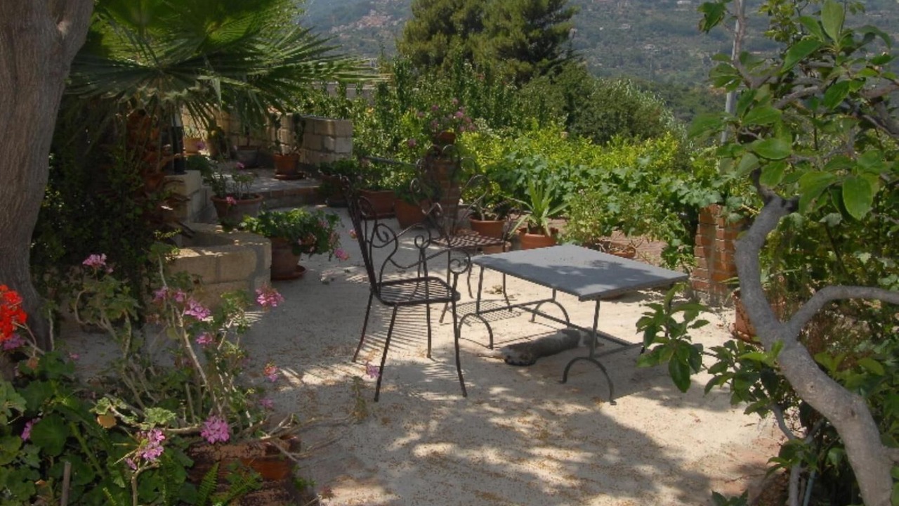 Photo of Outdoor in Patti